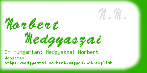 norbert medgyaszai business card